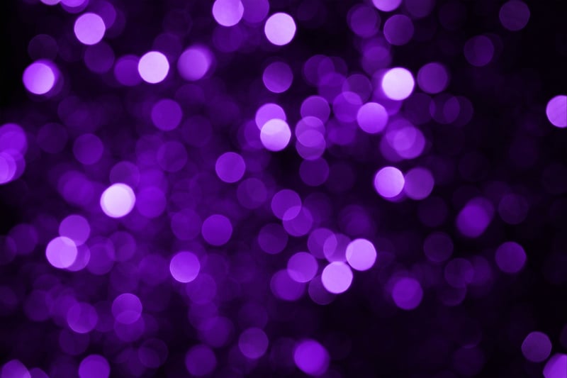 Fairy Lights in Garden